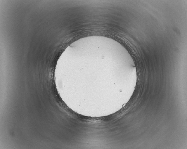 X0000115430284200912161440