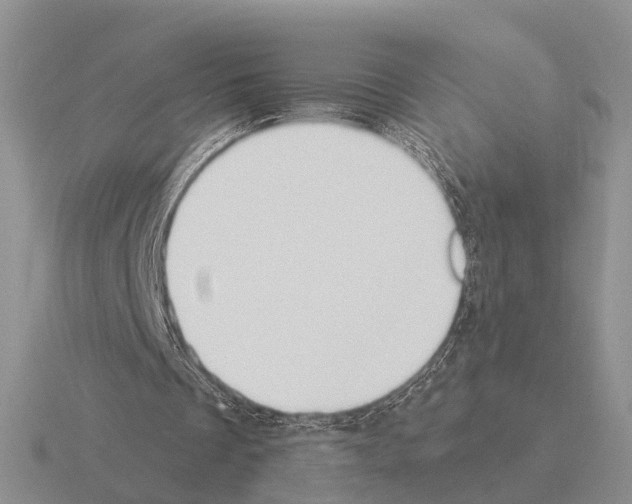 X0000115430289200912161440