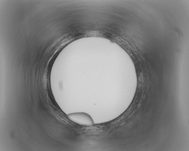 X0000115430290200912161440