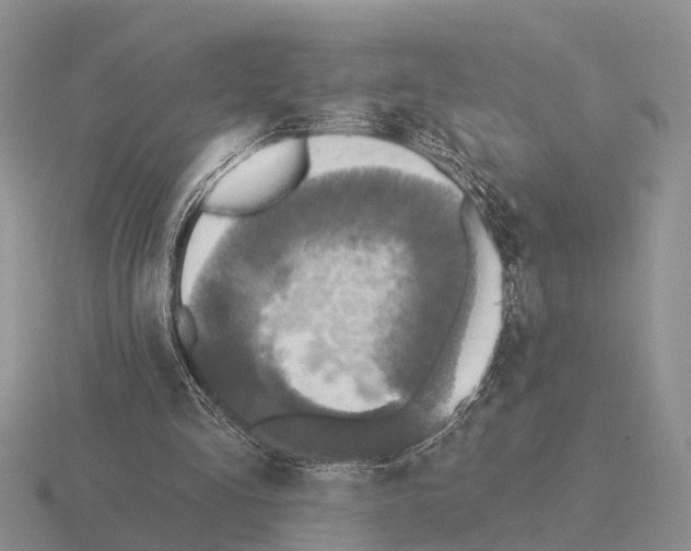 X0000115430293200912161440