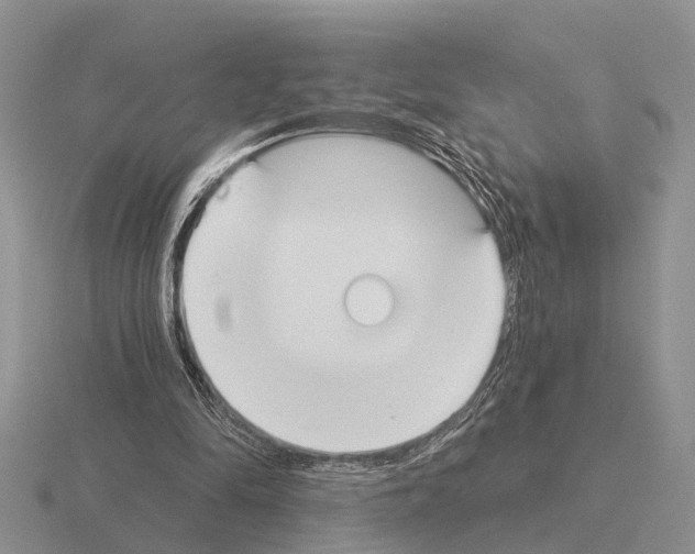 X0000115430294200912161440