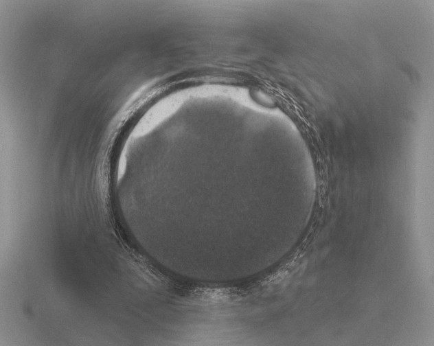 X0000115430295200912161439