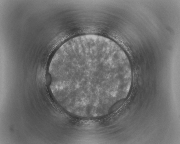 X0000115430297200912161439