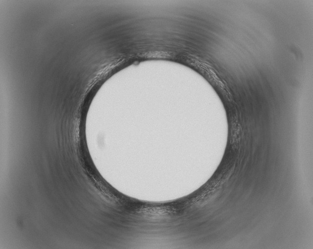 X0000115430299200912161439