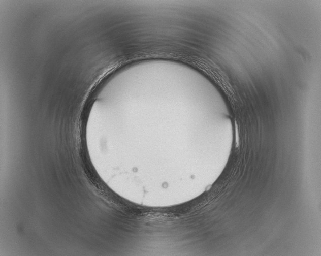 X0000115430300200912161439