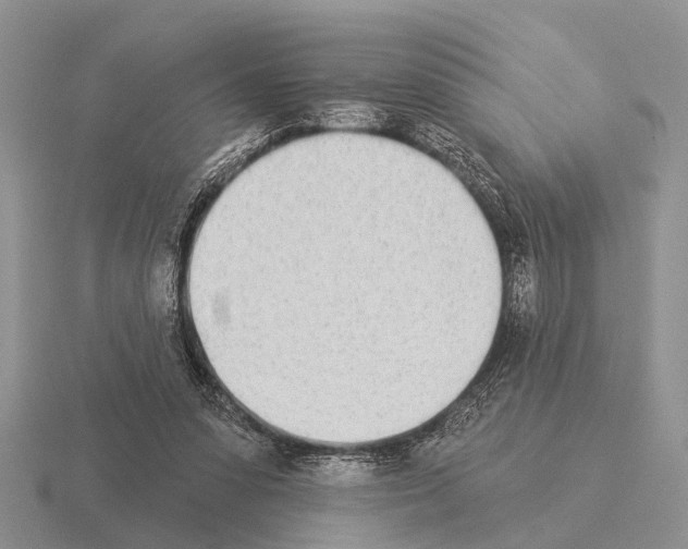 X0000115430303200912161439