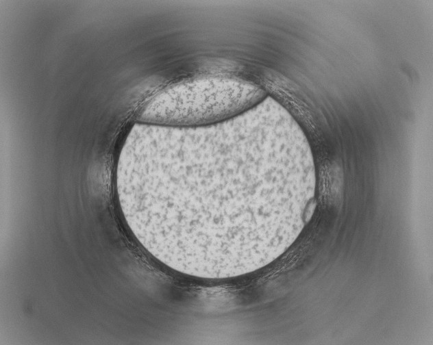 X0000115430309200912161439