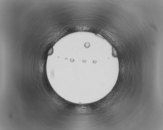 X0000115430315200912161439