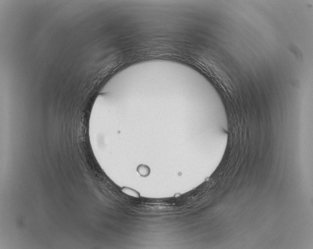 X0000115430316200912161439