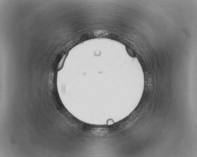 X0000115430319200912161439