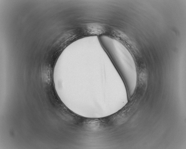 X0000115430325200912161439