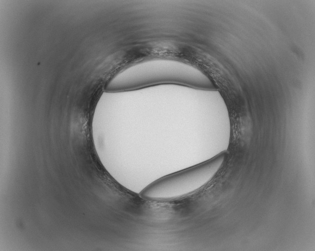 X0000115430327200912161439