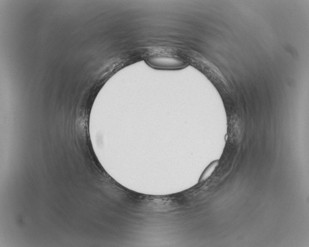 X0000115430329200912161439