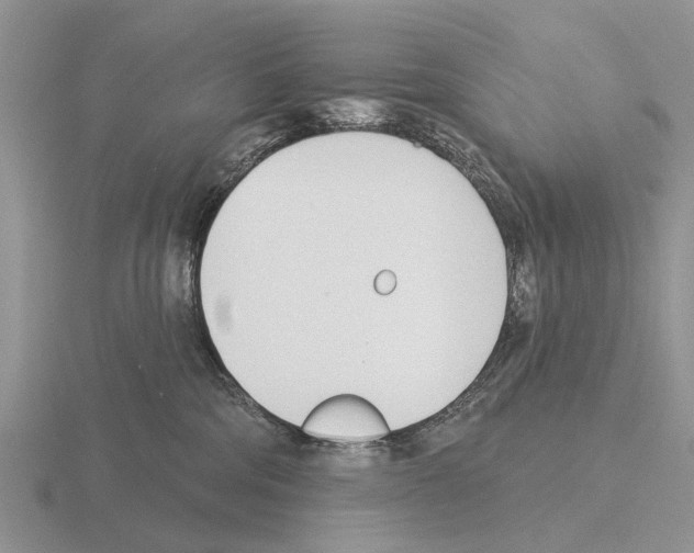 X0000115430330200912161439