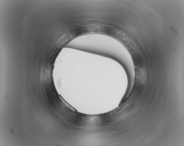 X0000115430333200912161439