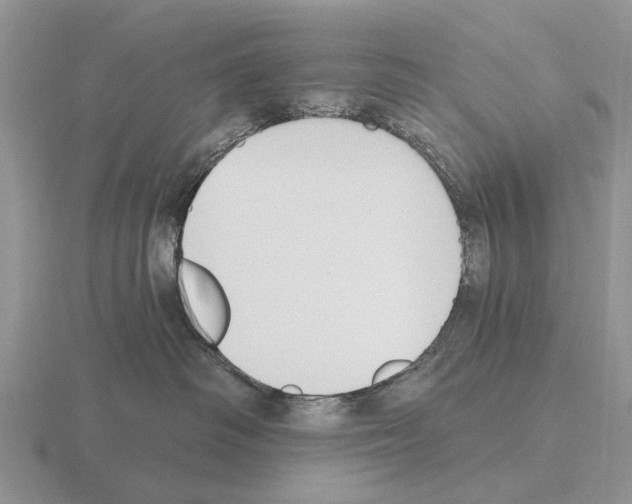 X0000115430334200912161439