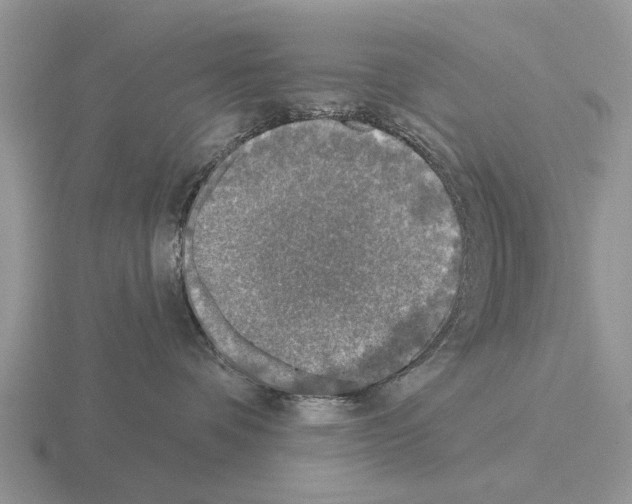 X0000115430336200912161439