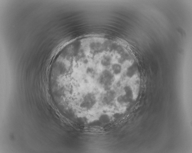 X0000115430337200912161438