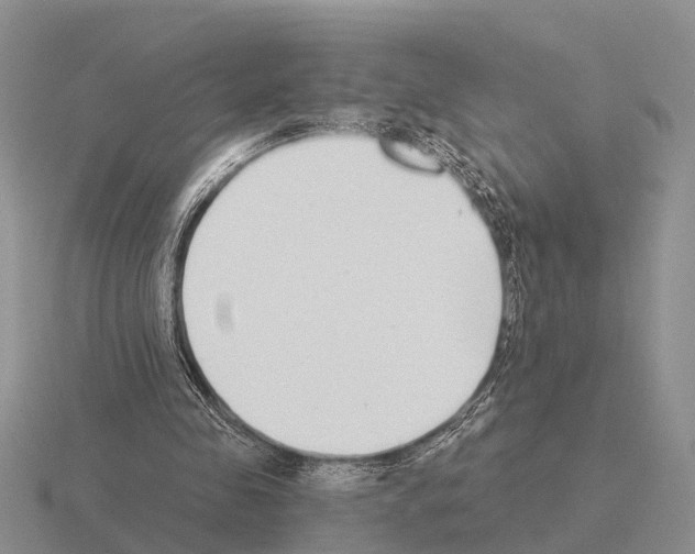 X0000115430341200912161438