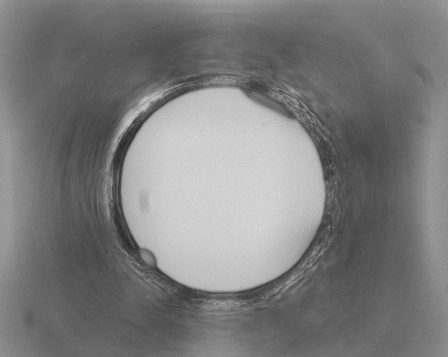 X0000115430342200912161438