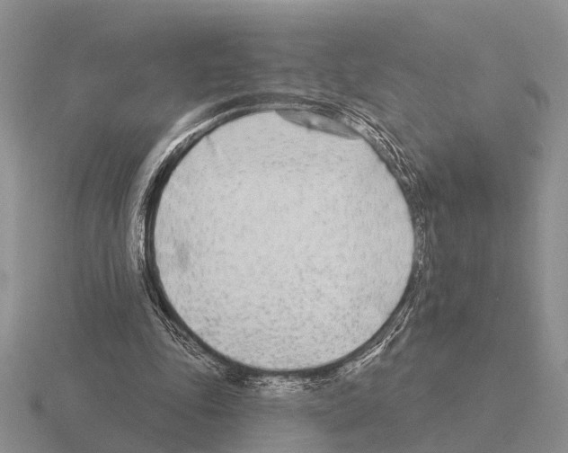 X0000115430343200912161438