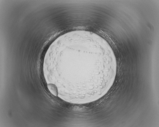 X0000115430346200912161438