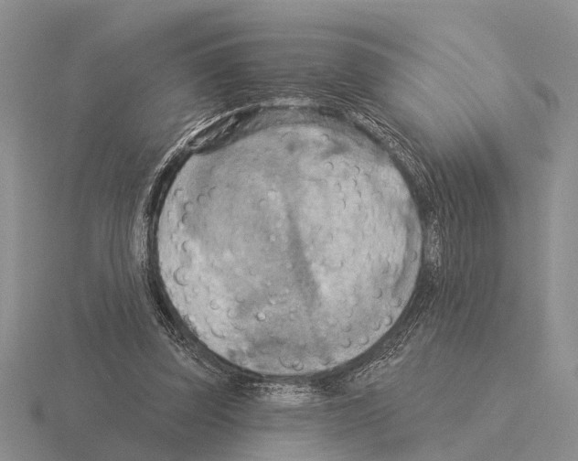 X0000115430347200912161438