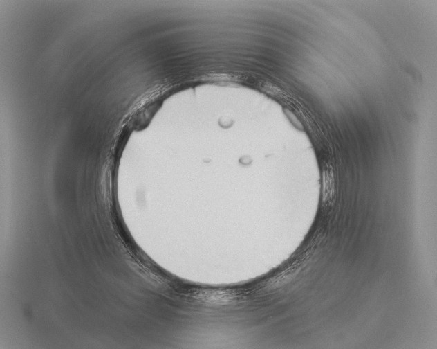 X0000115430349200912161438