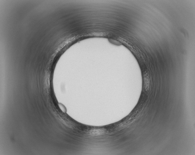 X0000115430350200912161439