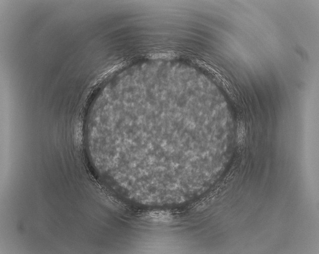 X0000115430353200912161439