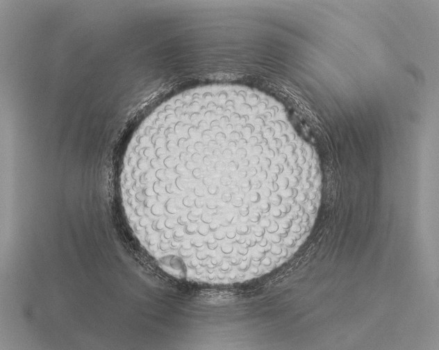 X0000115430354200912161439