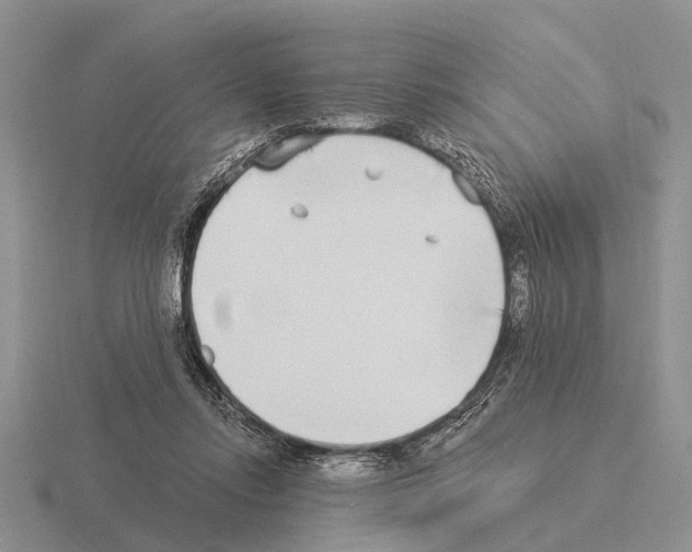 X0000115430358200912161439