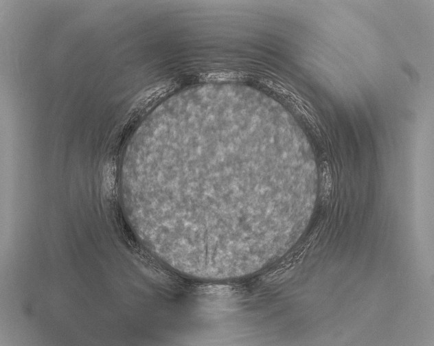 X0000115430361200912161439