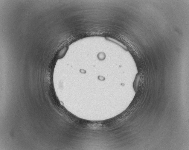 X0000115430362200912161439