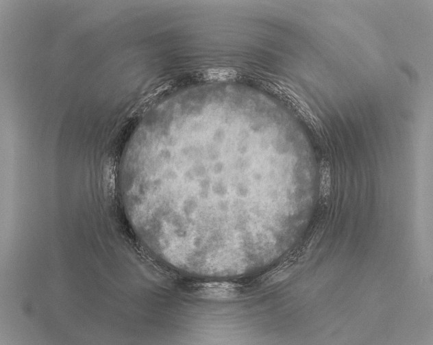 X0000115430363200912161439