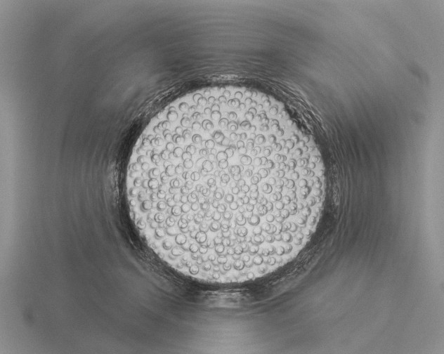 X0000115430366200912161439