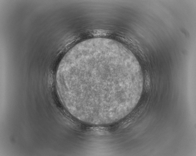 X0000115430367200912161439