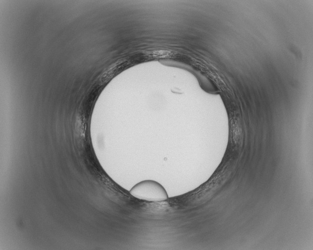 X0000115430374200912161439