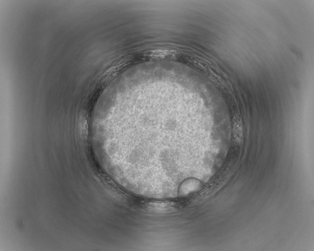 X0000115430375200912161439