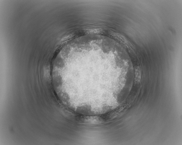 X0000115430377200912161439