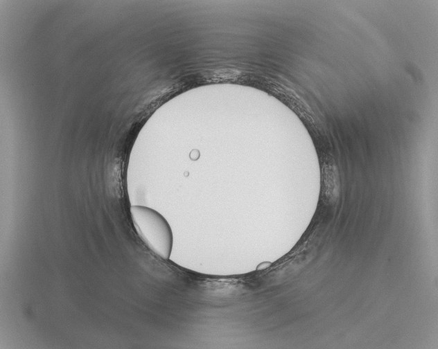 X0000115430378200912161439