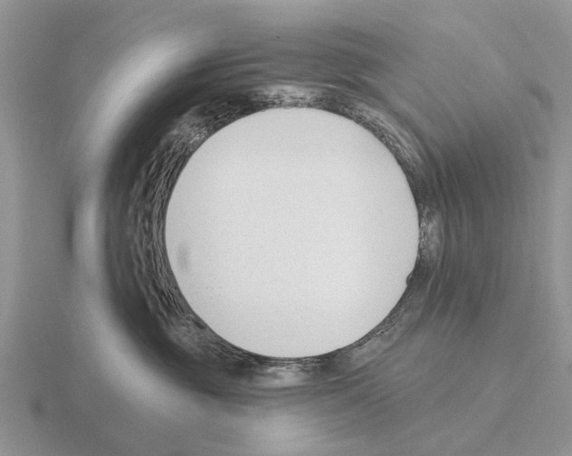 X0000115430381200912161439