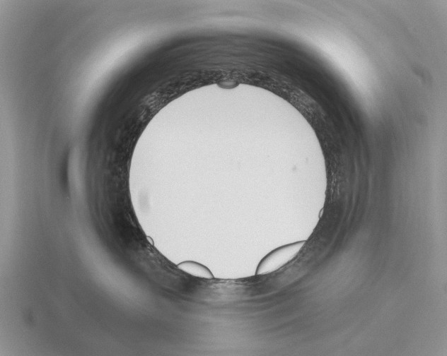 X0000115430383200912161439