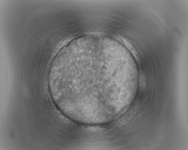 X0000115430385200912161438