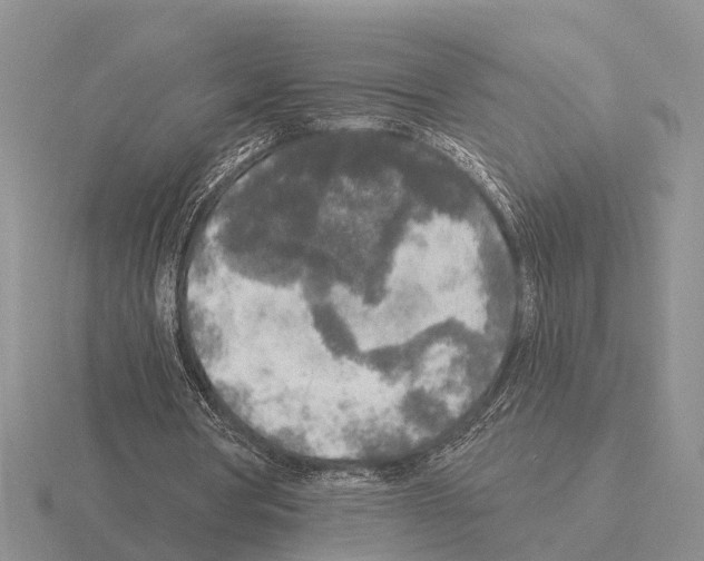 X0000115430386200912161438