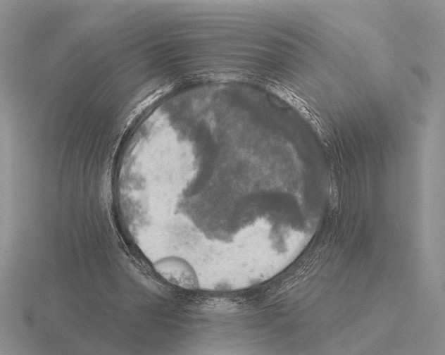 X0000115430390200912161438