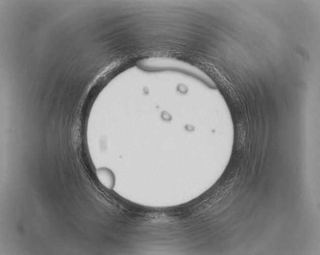 X0000115430392200912161438