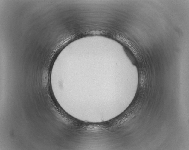 X0000115430394200912161438