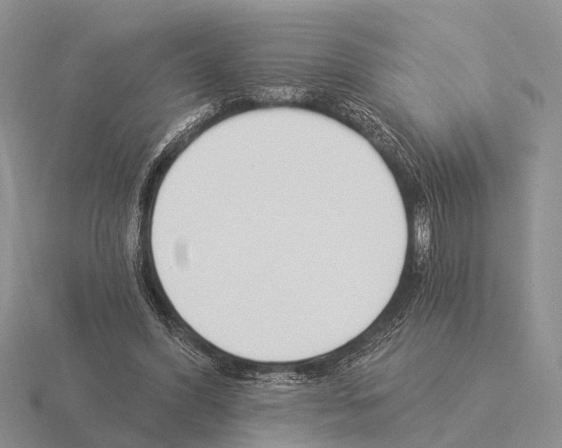 X0000115430396200912161438