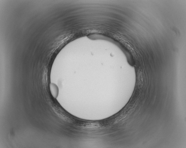 X0000115430398200912161438